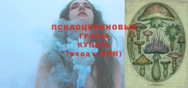 крисы Абдулино