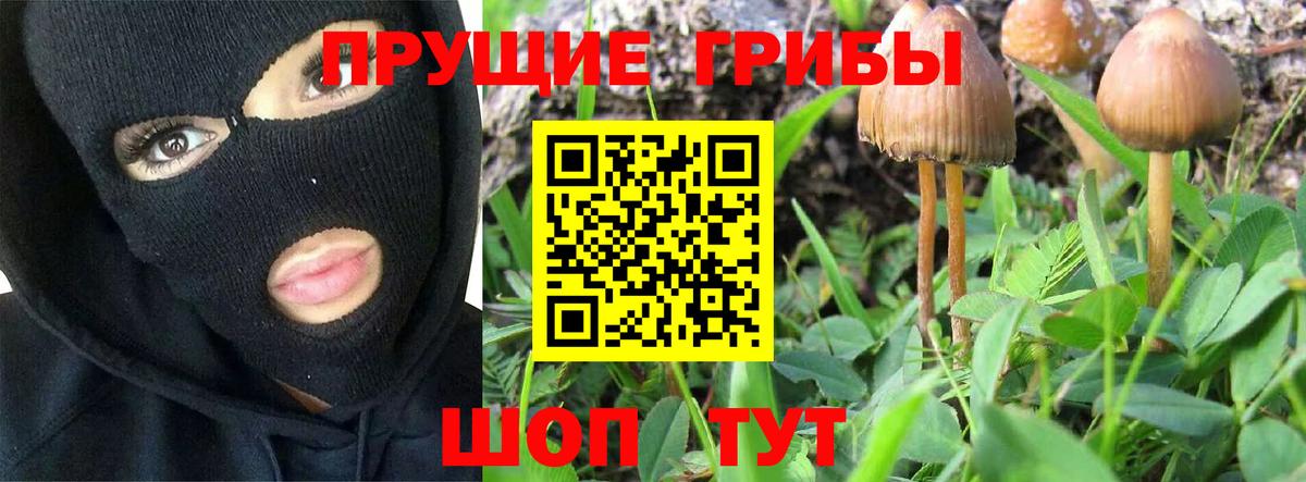 Избербаш  Псилоцибиновые грибы мухоморы  Вход с VPN 