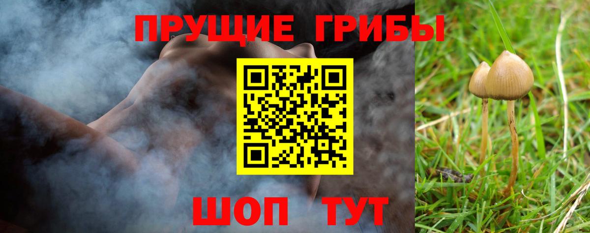 Псилоцибиновые грибы прущие грибы Избербаш